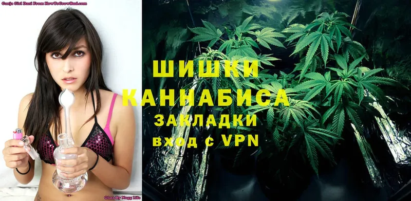 Шишки марихуана Ganja  Карасук 